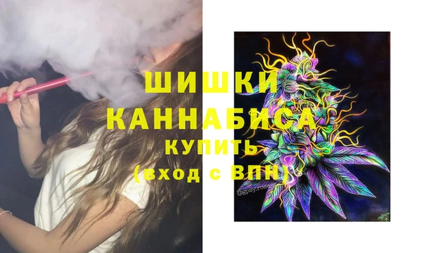 a pvp Каменка