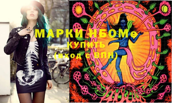 хмурый Каменногорск