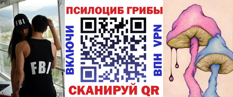 Купить закладки  Каменногорск  Галлюциногенные грибы MAGIC MUSHROOMS 